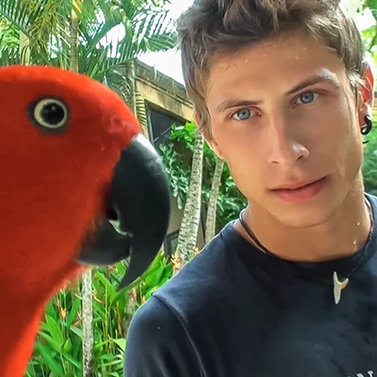 Birds of a feather - KinkyAngels