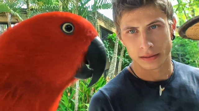 Birds of a feather - KinkyAngels